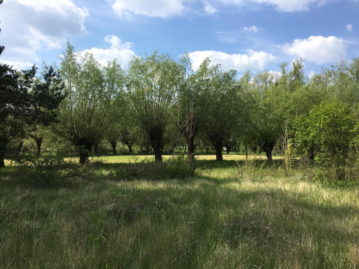 Kobylnica Nad Wisla