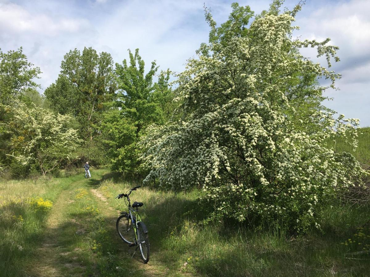 Kobylnica Nad Wisla * Kobylnica (Masovia)