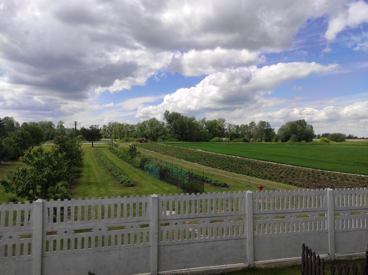 Kobylnica Nad Wisla Apartment *